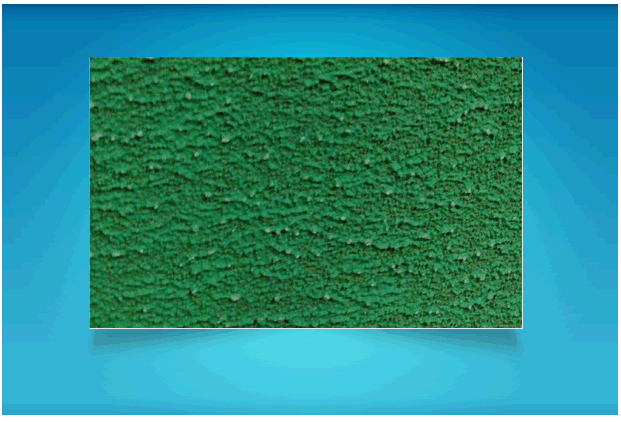 y53(1).gif